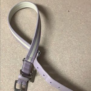 Coach XL dog collar.